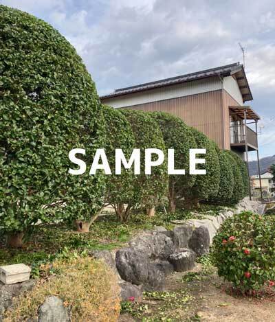 sample