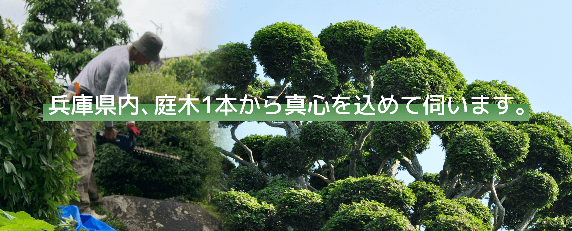 兵庫県の植木屋・庭木剪定・伐採・草刈り｜愛樹園